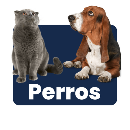 Perros